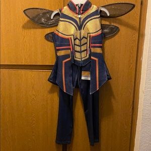 Disney Wasp Costume